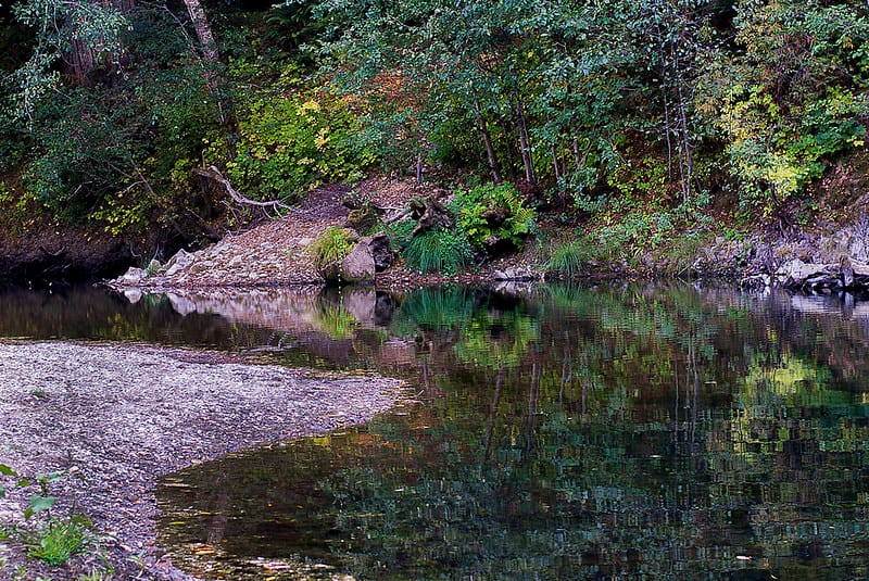 Mendo Local Weekly News — November 23, 2025