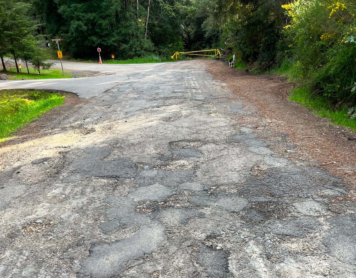 Mendocino County Supervisors' Approval Rating Stinks — New Survey Shows