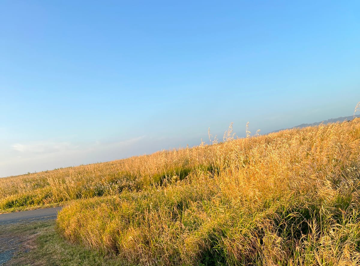 Fort Bragg, CA City Council Cancels Discussion of “Anticipated Litigation” After Citizens Raise Brown Act Concerns