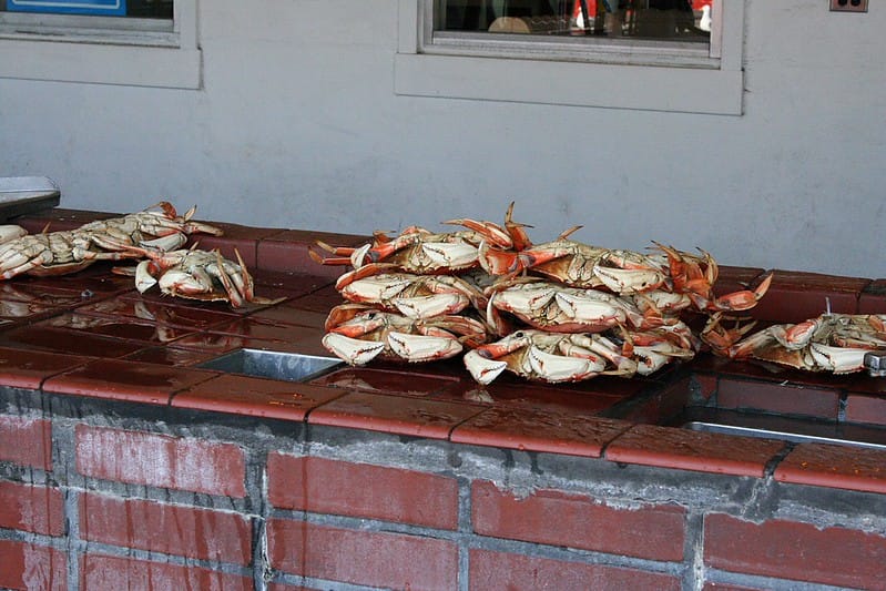 Mendo Local Weekly News — October 26, 2025