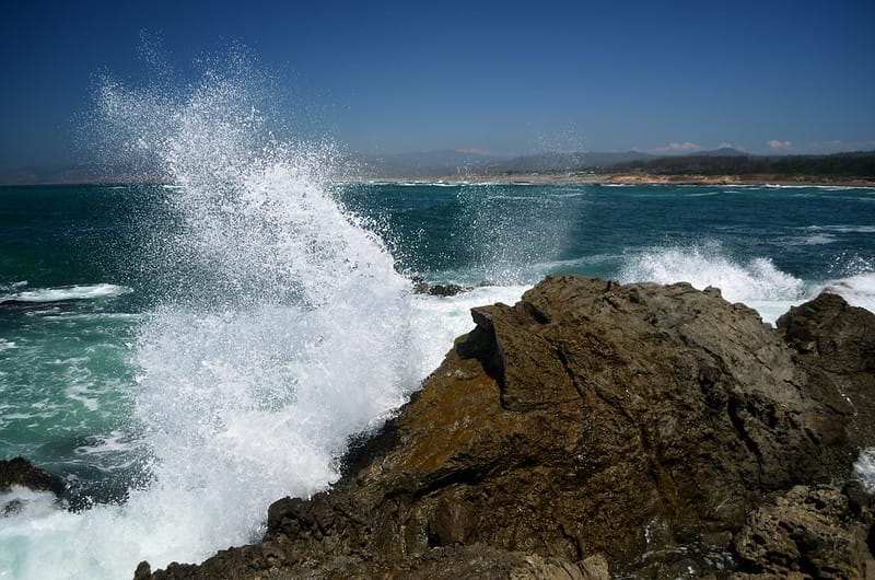 In Search of the Young Rescuers at MacKerricher State Park on Monday