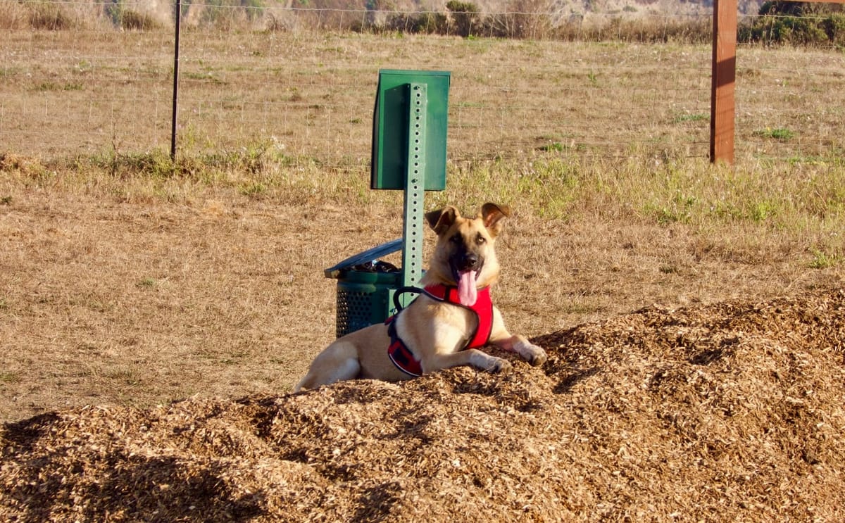 Mendo Local Weekly News Roundup — August 22, 2025