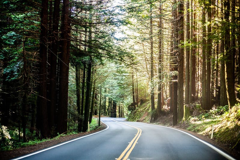 State Audit of Mendocino County Finds Strained Finances and Fraying Systems