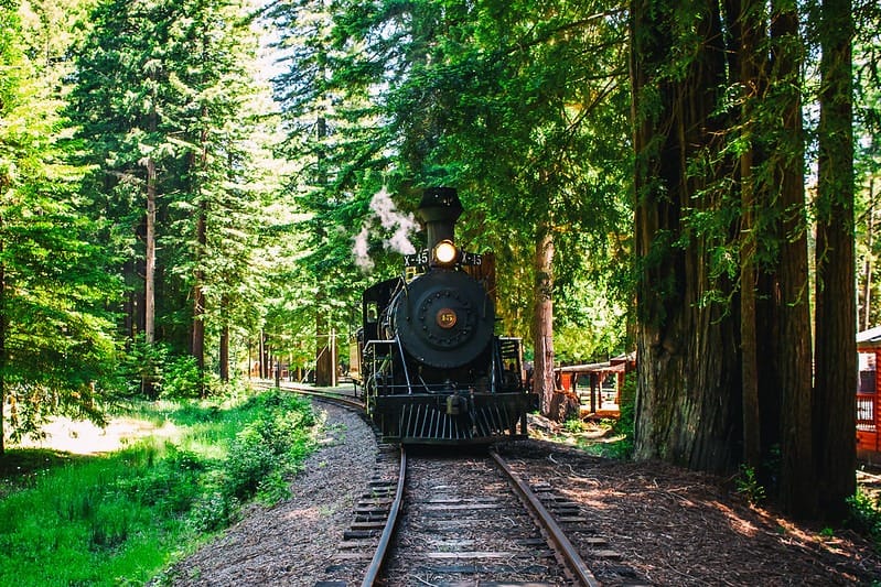 California AG Bonta Challenges Mendocino Railway’s Federal Carrier Status