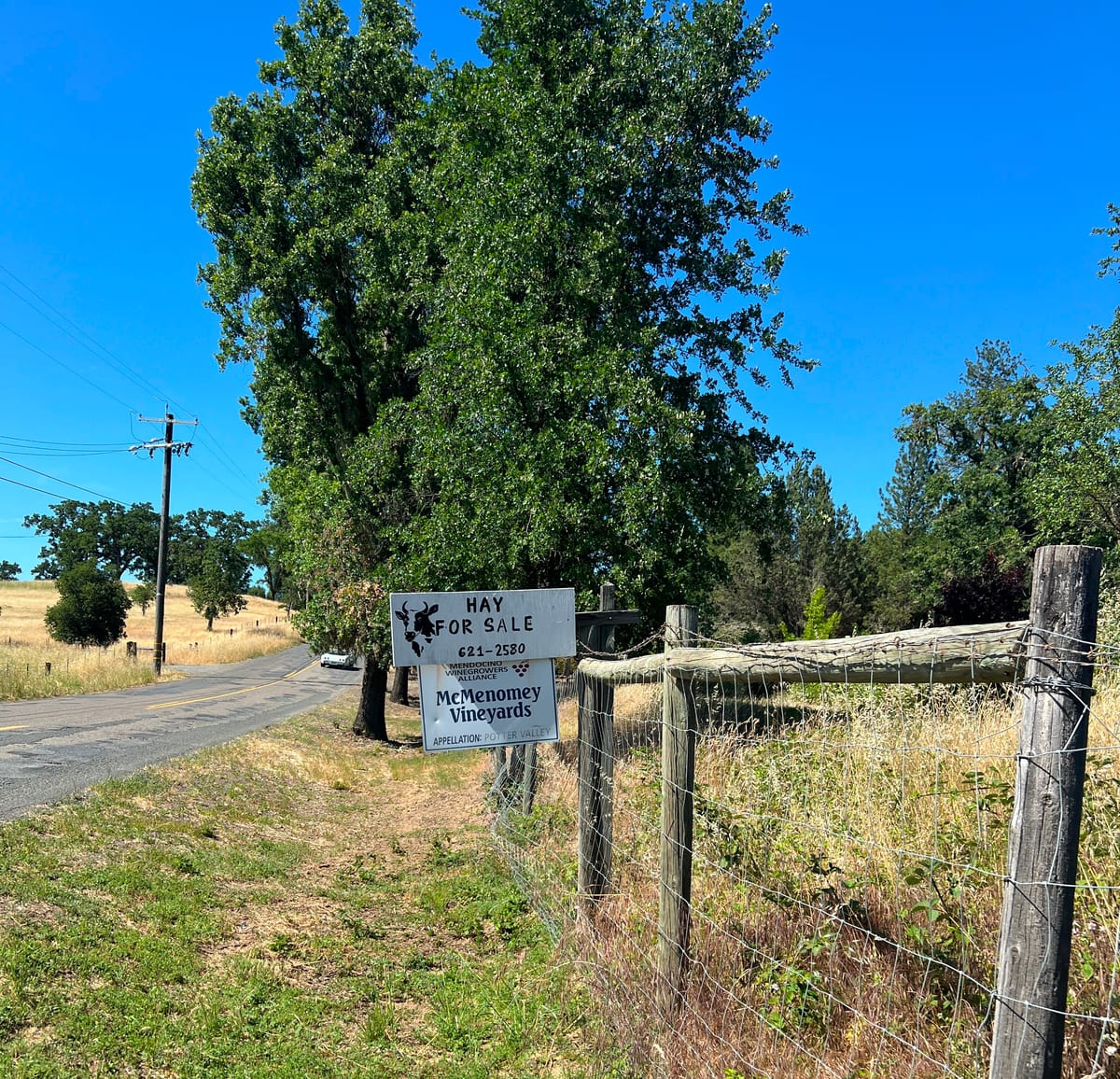 USDA Steps Into Potter Valley Project Decommissioning Fight