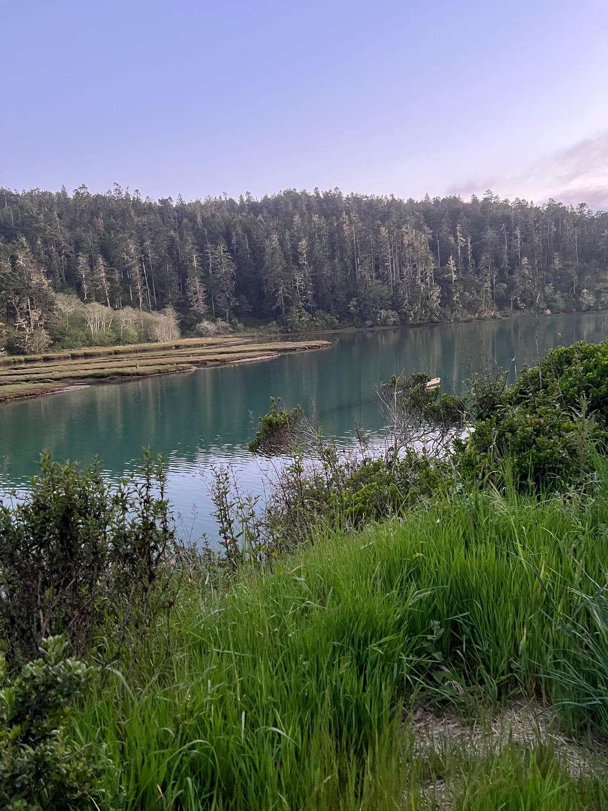 Mendo Local Weekly News — January 25, 2026