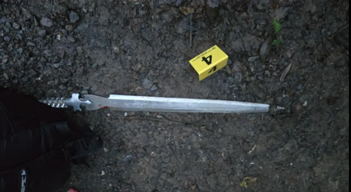 A Plan to Take a Dog Ends in Near-Fatal Stabbing in Ukiah, Police Say