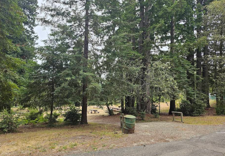 Mendo Local Weekly News Roundup — September 13, 2025