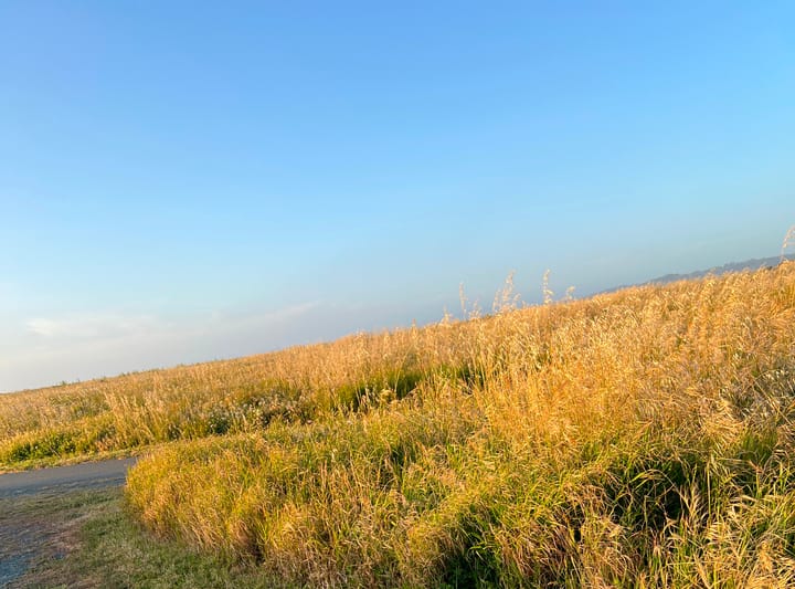 Fort Bragg, CA City Council Cancels Discussion of “Anticipated Litigation” After Citizens Raise Brown Act Concerns