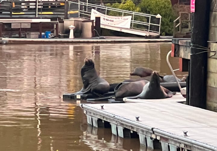 No New Road for Noyo Harbor; Fort Bragg Oks Downtown Drinks