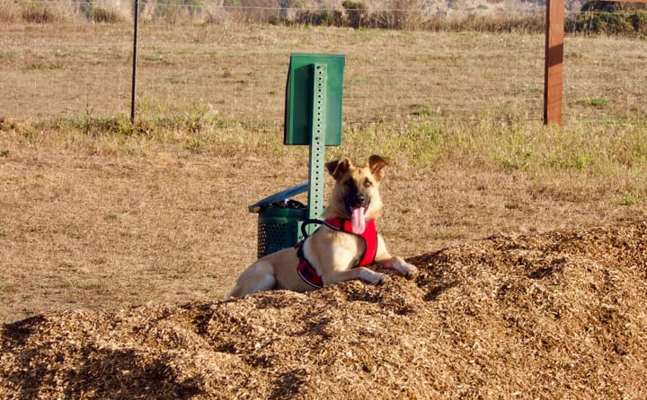 Mendo Local Weekly News Roundup — August 22, 2025